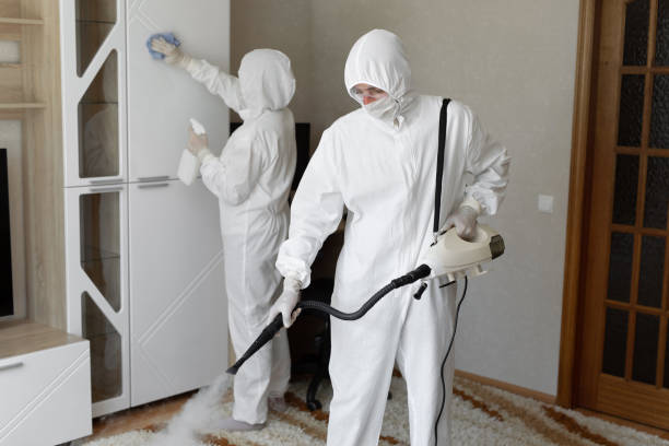 Best Mold Testing  in Manvel, TX