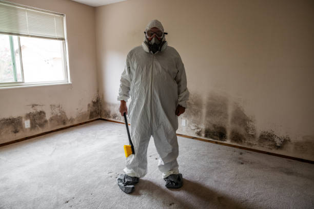 Best Commercial Mold Removal  in Manvel, TX